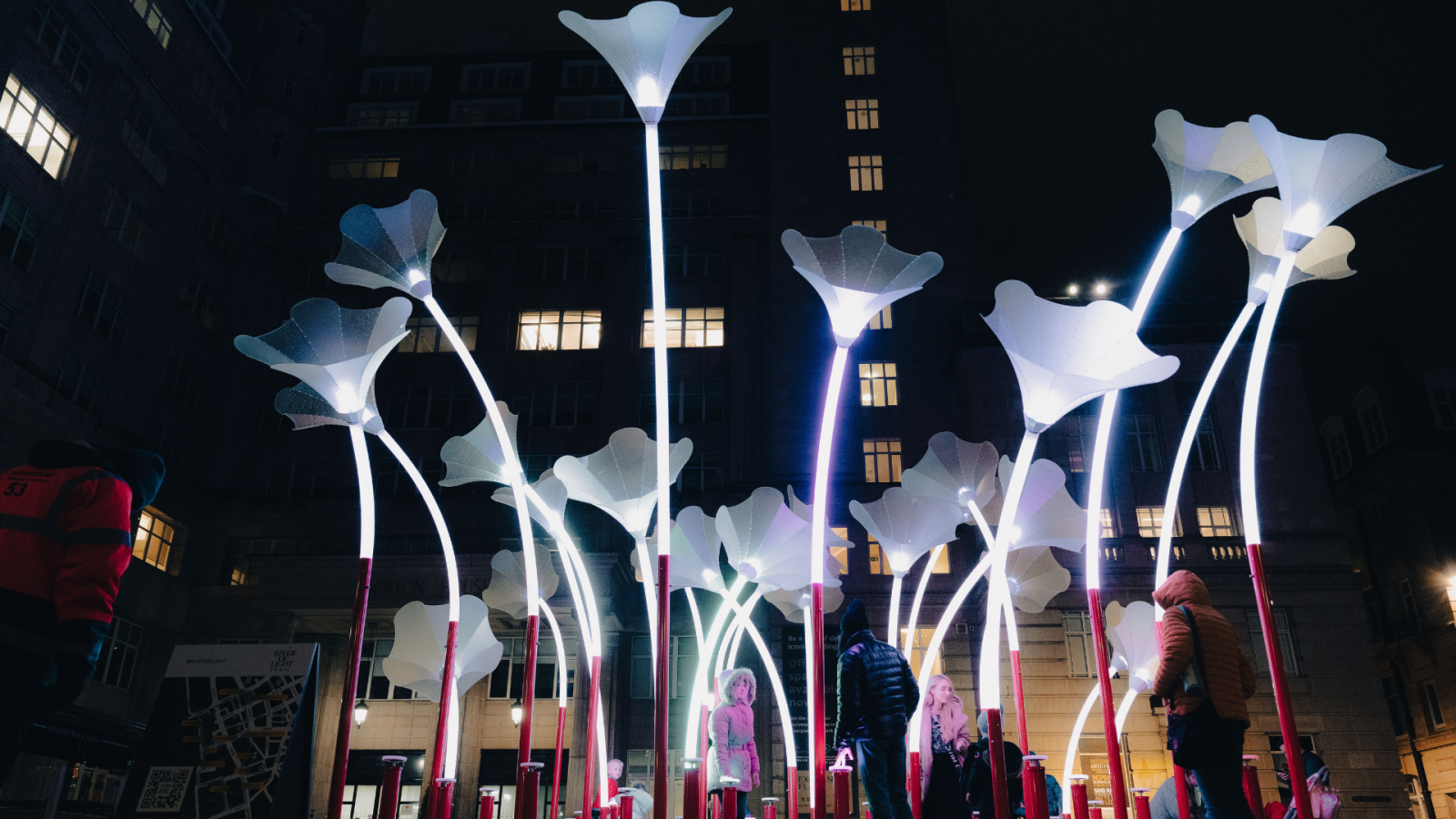 Trumpet flowers bristol light festival